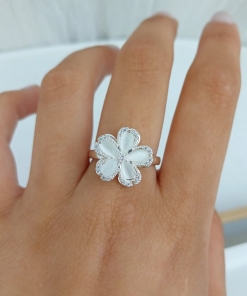 ANILLO BR (giratorio) 20123