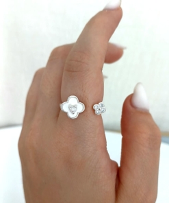 ANILLO BR (talle surtido T17/ T18) 30098