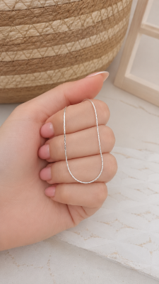Cadena de plata (50+5cm) 8716