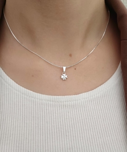 CONJUNTO DE PLATA (45cm) 8703