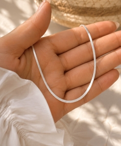 Cadena de Plata (45+5cm) 02.00097.045